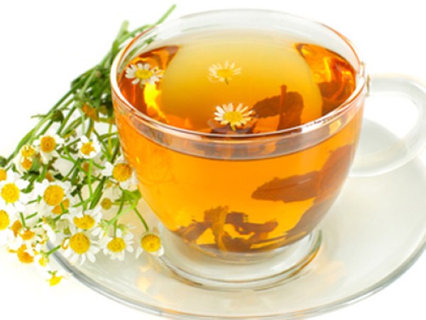 Nhiều người sử dụng trà hoa cúc hàng ngày vì những tác dụng rất tốt của nó cho sức khỏe như giải độc, làm đẹp, ngăn tế bào ung thư.
